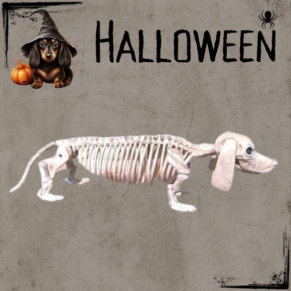 Halloween Dachshund Dog Skeleton Decoration